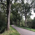 faalangst of succesangst